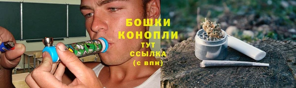 МДПВ Инта