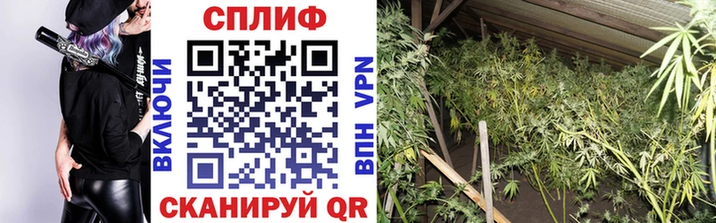 Марихуана Ganja  Купить закладки  Дегтярск 